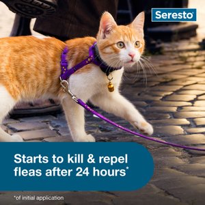 Seresto Flea & Tick Collar for Cats, 1 Collar (8-mos. supply)