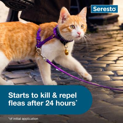 Show full view: Seresto Flea & Tick Collar for Cats, 1 Collar (8-mos. supply) slide 3 of 10