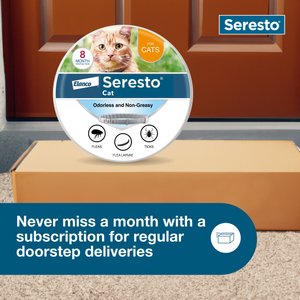 Seresto Flea & Tick Collar for Cats, 1 Collar (8-mos. supply)