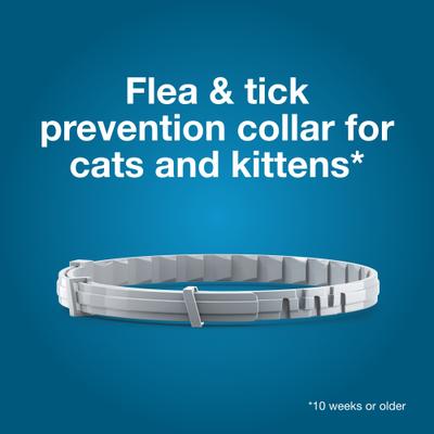 Show full view: Seresto Flea & Tick Collar for Cats, 1 Collar (8-mos. supply) slide 4 of 10