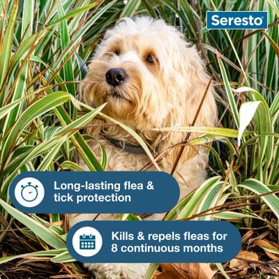 Show full view: Seresto Flea & Tick Collar for Dogs, up to 18-lbs, 1 Collar (8-mos. supply) slide 6 of 10