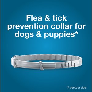 Seresto Flea & Tick Collar for Dogs, over 18-lbs, 1 Collar (8-mos. supply)