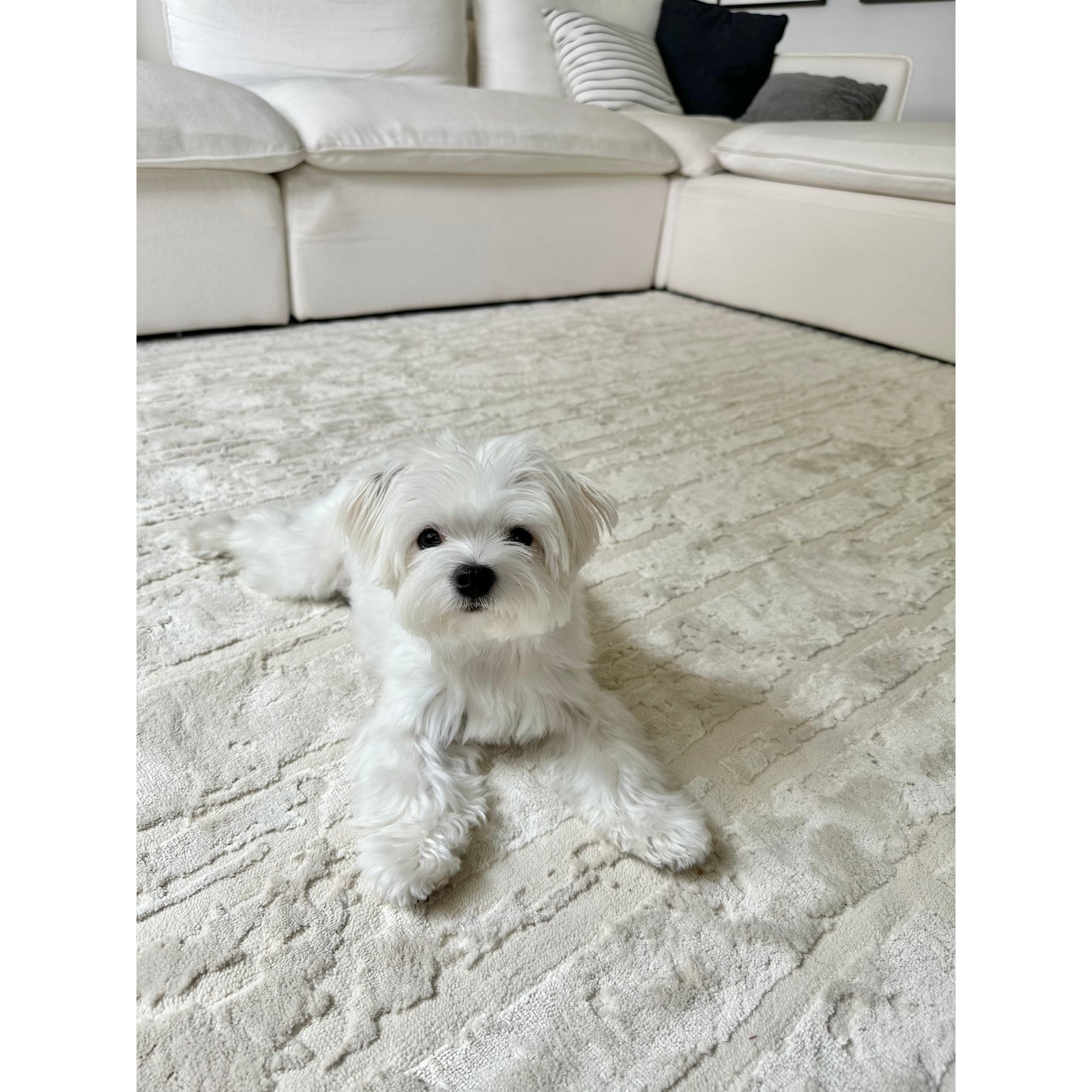 Revival Rugs Ebb Rug, Bone Beige, 3 x 9-ft