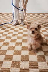 Revival Rugs Gambit Area Rug, Camel, Bone Beige, Sandstone, 94 x 120-in