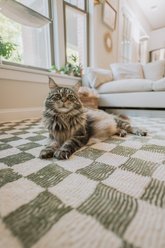 Revival Rugs Gambit Rug, Evergreen, 9 x 12-ft