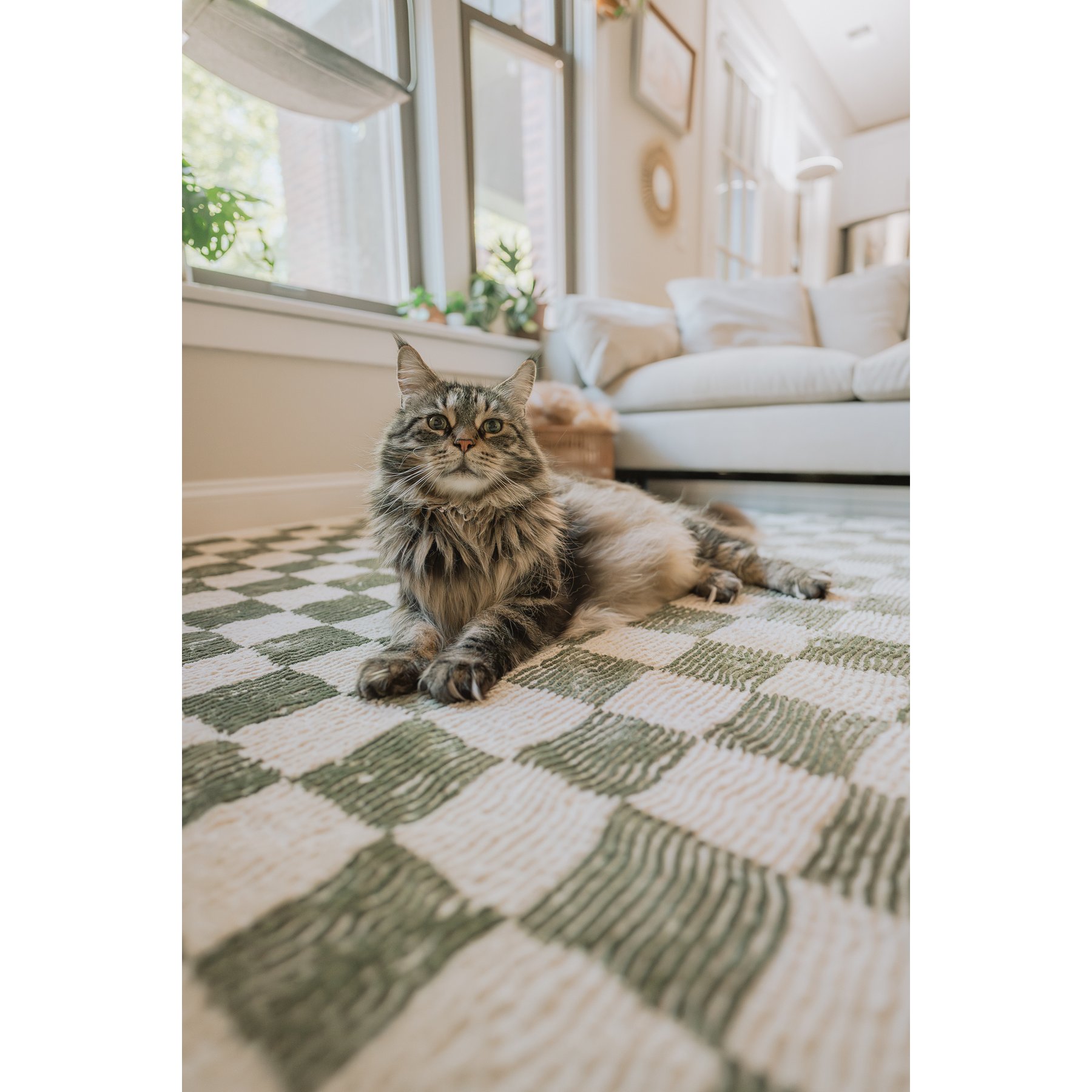 Revival Rugs Gambit Rug, Evergreen, 9 x 12-ft
