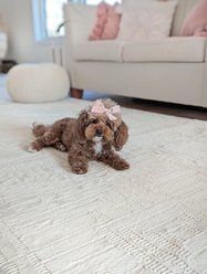 Revival Rugs Bamako Area Rug, 110 x 146-in