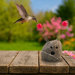 Sea Stones Wonderstruck Tabletop Stone Hummingbird Feeder, Natural