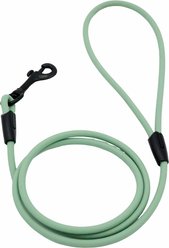 Tailr Waterproof & Odor-Resistant Rope Dog Leash, 4-ft long, 1/3-in wide, Sage Green