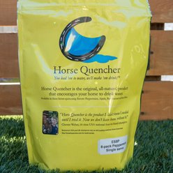 Horse Quencher Single Serve Peppermint Electrolyte Pellet Horse Supplement, 8 pack