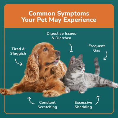 Show full view: TotalVet At-Home Pet Intolerance Dog & Cat Allergy Test Kit slide 6 of 10