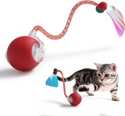 Pawsible Smart Pet Chase Ball with Dragenfly Tail Rope Cat Toy, Red, Medium
