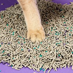 PETKIT 5 in 1 Mixed Flushable Unscented Clumping Tofu Cat Litter, 7.89-lb bag, case of 2 slide 2 of 7
