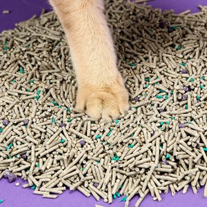 PETKIT 5 in 1 Mixed Flushable Unscented Clumping Tofu Cat Litter, 7.89-lb bag, case of 2