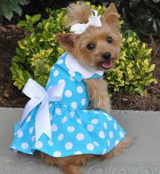 Doggie Design Polka Dot Dog Dress with Matching Leash, Blue, X-Large slide 2 of 5