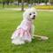 Show in main carousel: Doggie Design Polka Dot & Lace Dog Dress Set with Leash, Pink, X-Large slide 3 of 4