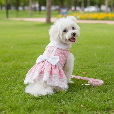 Show full view: Doggie Design Polka Dot & Lace Dog Dress Set with Leash, Pink, X-Large slide 3 of 4