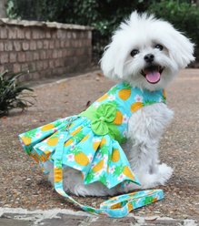Doggie Design Pineapple Luau Dog Harness Dress with Matching Leash, Blue, Medium slide 2 of 4