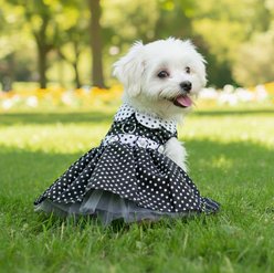 Doggie Design Polka Dot Dog Dress, Black & White, Small slide 2 of 3