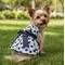 Show in main carousel: Doggie Design Blackberries Dog Dress with Matching Leash, Blue, Medium slide 2 of 3