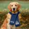 Show in main carousel: Littlearth NFL 2026 Super Bowl LX Super Bowl Champs Pet Dog Fan Scarf, Seattle Seahawks, Large slide 1 of 1