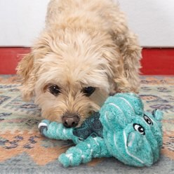 KONG Floppy Knots Hippo Tough Squeaky Plush Dog Toy, Teal, X-Small slide 2 of 6