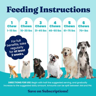 Show full view: Solid Gold Leaps & Hounds Soft Chews Glucosamine Chondroitin Joint Supplement for Dogs, 60 count slide 7 of 11