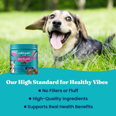 Show full view: Solid Gold Mellow Belly Probiotic Soft Chews Digestive Supplement for Dogs, 60 count slide 9 of 11