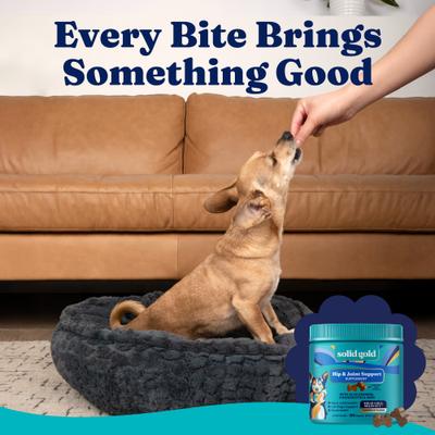 Show full view: Solid Gold Leaps & Hounds Soft Chews Glucosamine Chondroitin Joint Supplement for Dogs, 60 count slide 9 of 11
