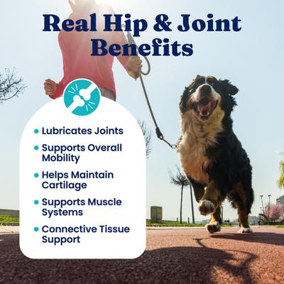 Show full view: Solid Gold Leaps & Hounds Soft Chews Glucosamine Chondroitin Joint Supplement for Dogs, 60 count slide 3 of 11