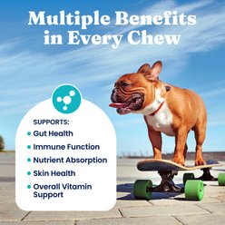 Solid Gold PetVites Multivitamin Soft Chews Vitamin C & B12 Supplement for Dogs, 120 count slide 2 of 9