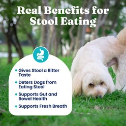 Solid Gold Stop Eating Poop + Breath Aid Soft Chews Grain-Free Supplements for Dogs, 60 count slide 2 of 9