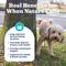 Show in main carousel: Solid Gold Berry Balance Cranberry Urinary Tract Health Powder Supplement for Dogs & Cats, 3.5-oz jar slide 3 of 13