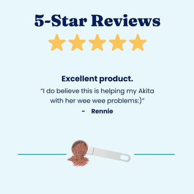 Show full view: Solid Gold Berry Balance Cranberry Urinary Tract Health Powder Supplement for Dogs & Cats, 3.5-oz jar slide 8 of 13