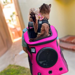 Travel Cat Fat Cat Airline Approved Bubble Backpack Cat Carrier, Deep Rose Pink