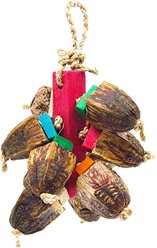 Planet Pleasures Crunchy Munchy Exercise Parrot Toy, Multicolor, Small