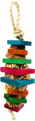 Planet Pleasures Rugby Exercise Parrot Toy, Multicolor, Small