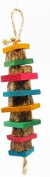 Planet Pleasures Rugby Exercise Parrot Toy, Multicolor, Large
