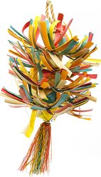 Planet Pleasures Scraggle Exercise Parrot Toy, Multicolor, Medium