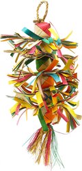 Planet Pleasures Scraggle Exercise Parrot Toy, Multicolor, Large