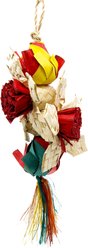 Planet Pleasures Rose & Daisy Exercise Parrot Toy, Multicolor, Large