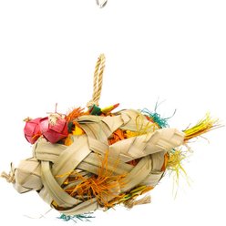 Planet Pleasures Blow Fish Exercise Parrot Toy, Multicolor, Large