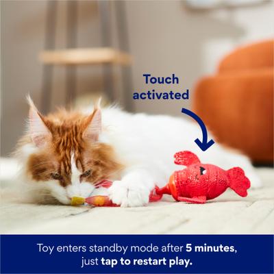 Show full view: Frisco Lobster Erratic Spinning Tail Cat Toy with Silvervine & Catnip slide 6 of 7
