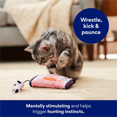 Show full view: Frisco Sardine Plush Interactive Kicker with Teaser Cat Toy with Silvervine & Catnip slide 5 of 6