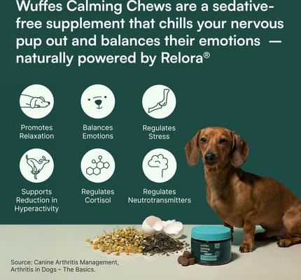 Show full view: Wuffes Stress & Anxiety Support Soft Chews Calming Supplement for Dogs, 60 count slide 7 of 9