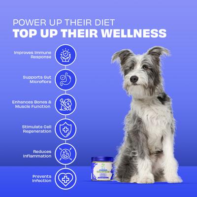 Show full view: Pawfect Colostrum Daily Food Topper Supplement for Dogs & Cats, 100-g slide 5 of 8