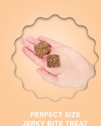 Plato Turkey with Pumpkin Grain-Free Jerky Dog Bites, 6-oz bag slide 2 of 7