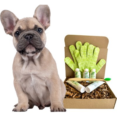 RenewedPet RenewedPet 4-Furry 100% Natural Dogs Grooming Kit, Sample