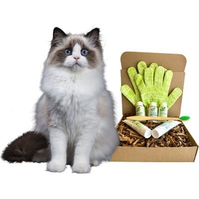 RenewedPet RenewedPet 4-Furry 100% Natural Cat Grooming Kit, Sample