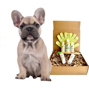 Out of Stock - PXZEE 7-in-1 Dog & Cat Grooming Kit, White - Chewy.com